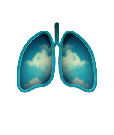 Nuevo sitio sobre EPOC: información para pacientes y profesionales de la salud
